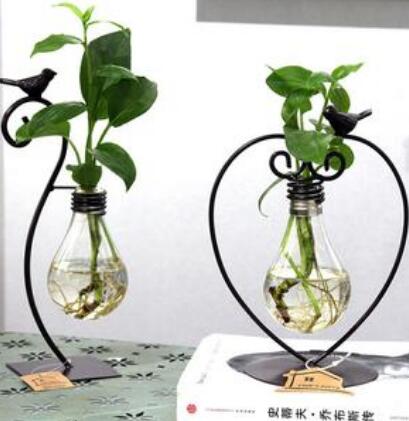 Hydroponic Glass Planter with Steel Stand