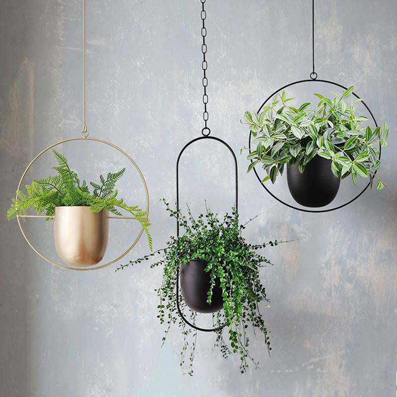 Nordic Hanging Iron Flower Pot Hydroponic Orchid Decor
