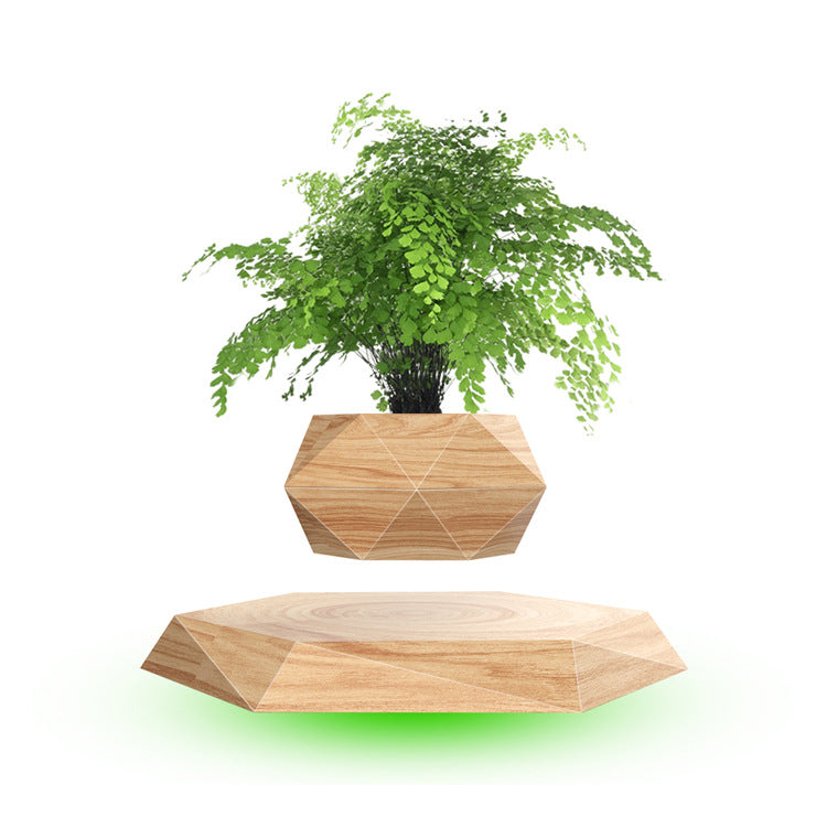 Magnetic Floating Bonsai Plant Rack Creative Gift Decor