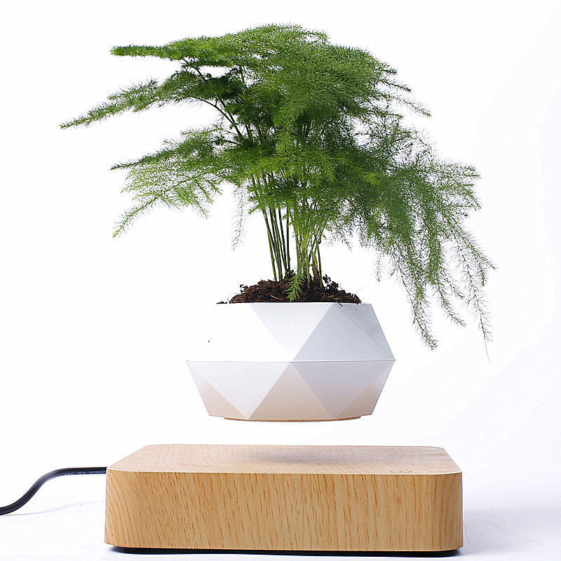 Magnetic Floating Bonsai Plant Rack Creative Gift Decor