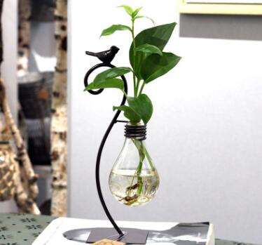 Hydroponic Glass Planter with Steel Stand