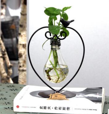 Hydroponic Glass Planter with Steel Stand