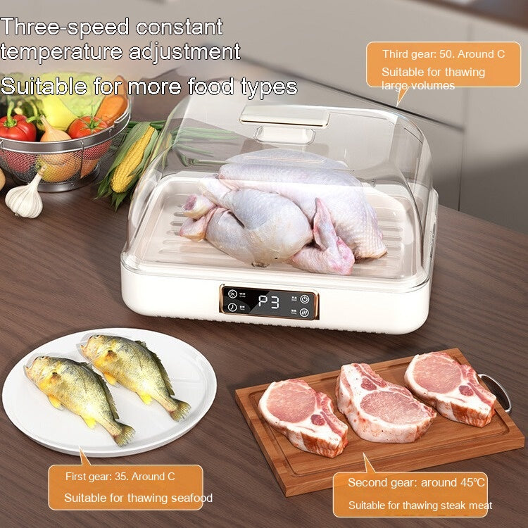 Constant Temperature Meat Thawing Plate