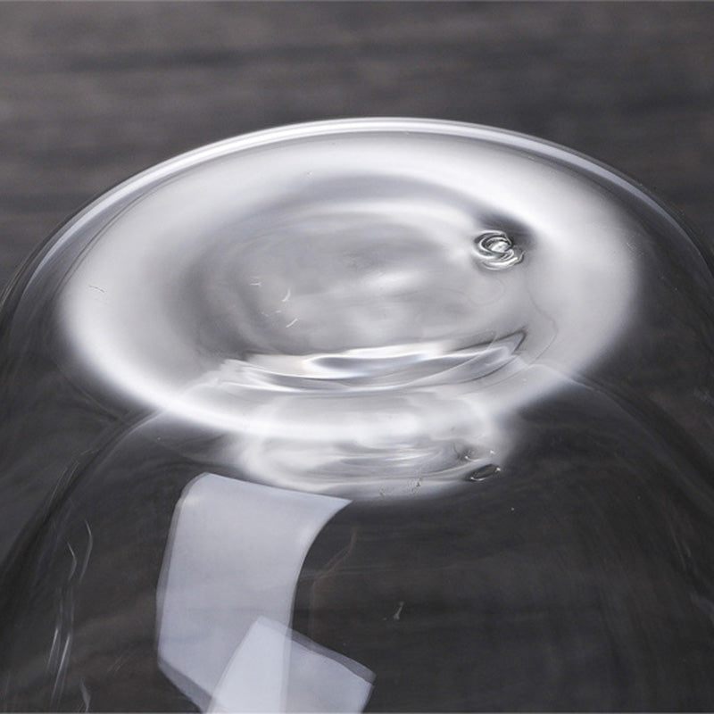 Heat Resistant Double Layer Glass Coffee Cup With Handle