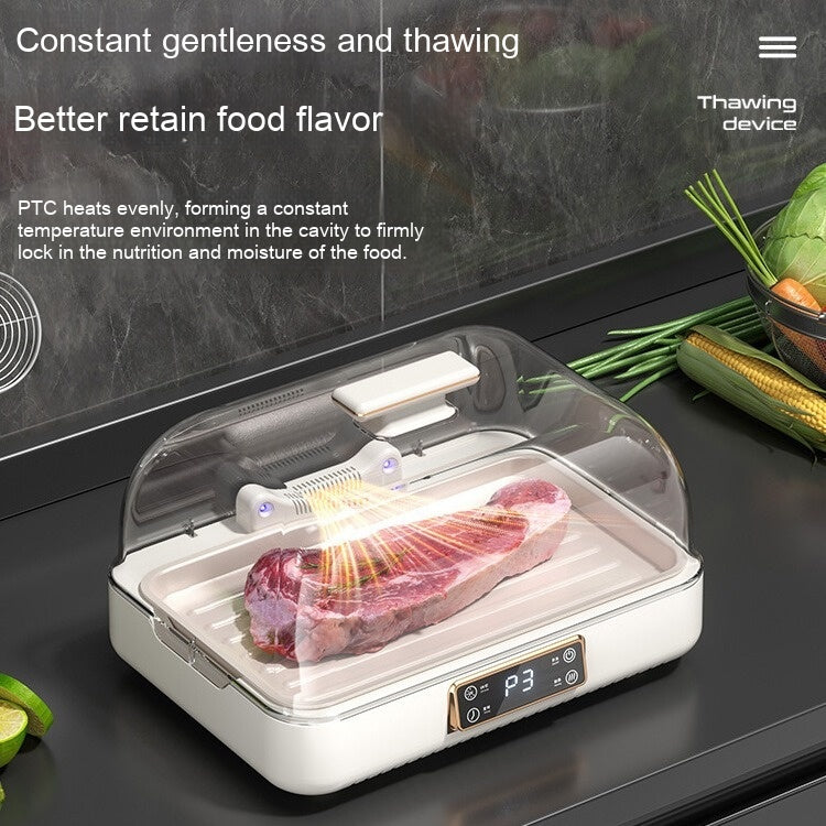 Constant Temperature Meat Thawing Plate